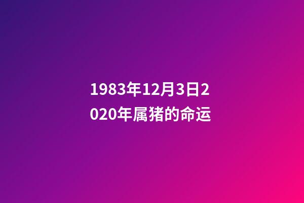 1983年12月3日2020年属猪的命运 (1983年属猪2023年运势每月运势男)-第1张-观点-玄机派